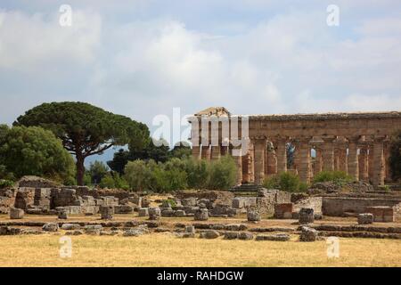 Tempel des Poseidon, der zweite Tempel der Hera, Paestum, Kampanien, Italien, Europa Stockfoto