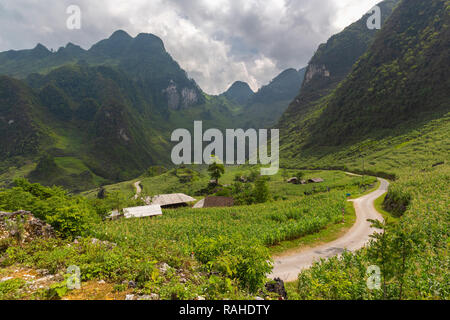 Engen, gewundenen Straße, die zu einem kleinen Bergdorf durch ein Feld von Mais umgeben. Ha Giang Loop, Provinz Ha Giang, Vietnam, Asien Stockfoto