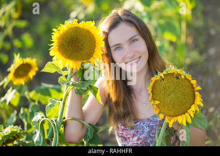 Süße Schöne junge Mädchen Dame Frau sitzt auf einem Feld mit großen Sonnenblumen. Brünette mit blauen Augen tragen bunte Kleidung italienischen Livorno sun Motorhaube Stockfoto