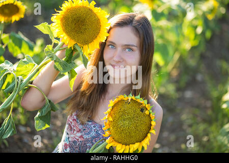 Süße Schöne junge Mädchen Dame Frau sitzt auf einem Feld mit großen Sonnenblumen. Brünette mit blauen Augen tragen bunte Kleidung italienischen Livorno sun Motorhaube Stockfoto