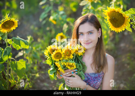 Süße Schöne junge Mädchen Dame Frau sitzt auf einem Feld mit großen Sonnenblumen. Brünette mit blauen Augen tragen bunte Kleidung italienischen Livorno sun Motorhaube Stockfoto