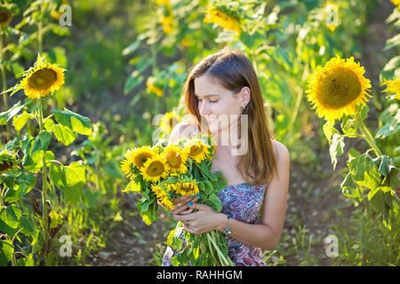 Süße Schöne junge Mädchen Dame Frau sitzt auf einem Feld mit großen Sonnenblumen. Brünette mit blauen Augen tragen bunte Kleidung italienischen Livorno sun Motorhaube Stockfoto