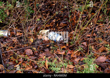 Leere Bierdosen auf den Boden geworfen inmitten Blätter in der Natur; Aluminium Umweltverschmutzung, Abfall in der Natur. Stockfoto