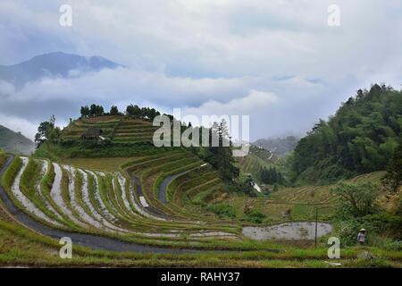 Die überschwemmten terrassierten Reisfeldern in der Autonomen Region Guangxi Zhuang in China durch Nebel eingehüllt. Stockfoto