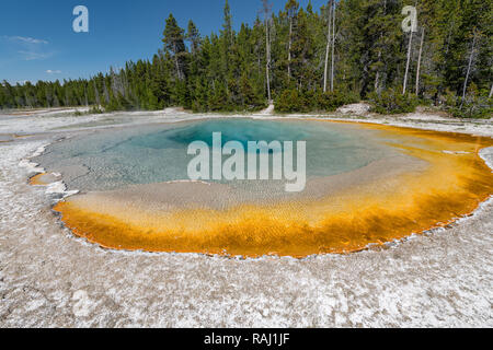 Bunte Hot Springs in Biscuit Basin im Yellowstone National Park, Wyoming, USA Stockfoto