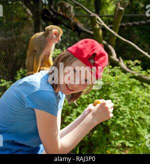 Mädchen mit einem gemeinsamen Totenkopfäffchen (Saimiri sciureus), Serengeti Park Zoo und Freizeitpark, Hodenhagen, Niedersachsen Stockfoto