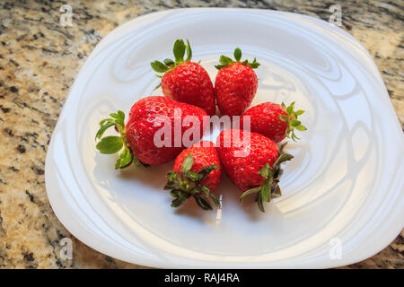 Saftige frische Erdbeeren in eine Schüssel weiß, auf einem Marmortisch Hintergrund, leckeres Dessert. Stockfoto