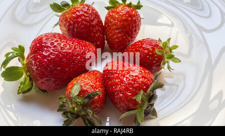 Saftige frische Erdbeeren in eine Schüssel weiß, auf einem Marmortisch Hintergrund, leckeres Dessert. Stockfoto