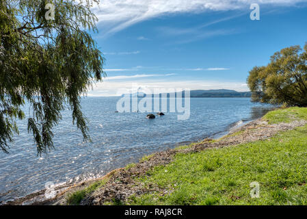 Lake Taupo auf einem hellen, sonnigen Tag unter einem blauen Himmel mit Wolken Stockfoto