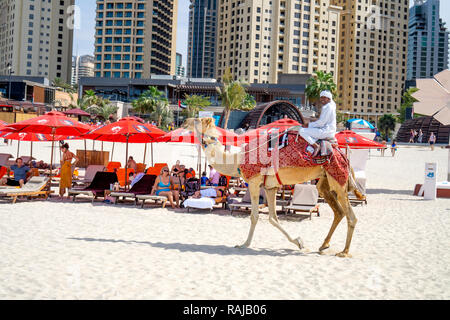 Dubai, UAE/10.31.2018: authentisch Kamelritt am Jumeirah Strand JBR mit einem arabischen Mann auf dem Kamel Stockfoto