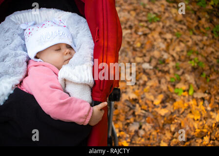 Adorable Baby Mädchen außerhalb in rot Kinderwagen schläft im Herbst sonniger Tag. Herbst Blätter im Hintergrund. Stockfoto