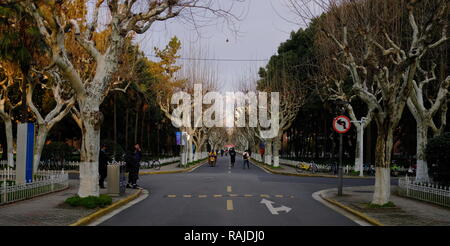 Herbst Blick auf die Straße in der Fudan University, Shanghai Stockfoto