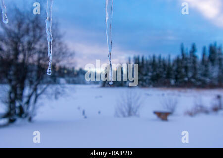 Eiszapfen Anfang Nach dem Winter Schnee zu schmelzen Stockfoto