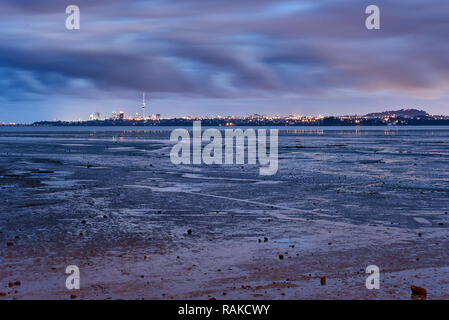 Blick über die Bucht von Te Atatu Halbinsel in Richtung Auckland City an einem bewölkten Tag bei Ebbe Stockfoto