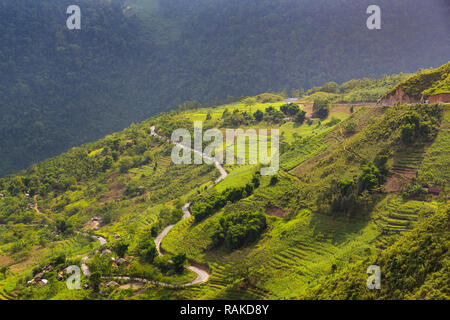 Kurvenreiche Straße durch einen Hügel der Agrarwirtschaft. Ha Giang Loop, Provinz Ha Giang, Vietnam, Asien Stockfoto