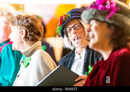 Den Wald Höhen Entscheidungsträger Chor zu Weihnachten an den Dekan Heritage Center, Soudley, Gloucestershire Musical. Stockfoto