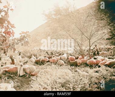 Satz von dreizehn wählen Sie Folien von Hirten leben, zur Veranschaulichung der Dreiundzwanzigsten Psalms. "Er weidet mich auf Neuerfundene zu liegen Stockfoto