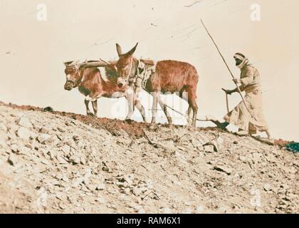 Übersicht arabischer Mann pflügen. 1898, im Nahen Osten, Israel und/oder Palästina. Neuerfundene durch Gibon. Klassische Kunst mit einem modernen Neuerfundene Stockfoto