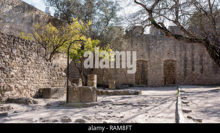 Eine wüste Garten mit trockenen Böden und Olivenbäumen in einer Festung ein Schloss, Lissabon Stockfoto