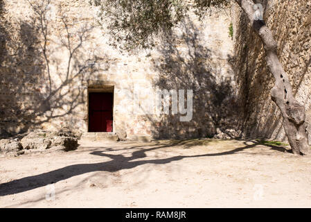 Eine rote Tür, wie der Eingang zu einer Festung in der Wüste Garten mit trockenen Böden und Olivenbäumen. Stockfoto