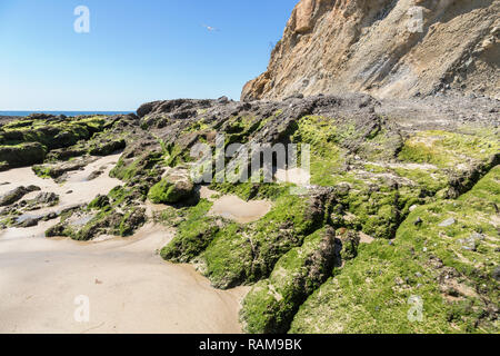 Die Felsen auf das Meer Stockfoto