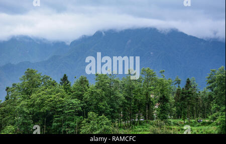 Berg Szene in Sapa, Nordvietnam. Sapa liegt etwa 350 km nordwestlich von Hanoi, in der Nähe der chinesischen Grenze. Stockfoto