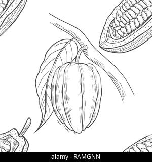 Vektor Kakaobaum Abbildung. Vintage Hintergrund mit Hand mit Blättern, flowres, Früchte und Bohnen gezogen. Botanische nahtlose Muster. Duftig und Stock Vektor