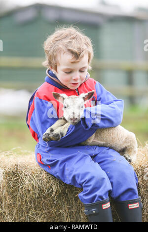 Arley, Worcestershire, Großbritannien. Am 4. Januar, 2019. 5-jährige Henley, auf die Farm seiner Familie in der Nähe von Arley, North Worcestershire, mit einem Tag - altes Lamm. Obwohl es noch Winter und der traditionellen lambing Saison beginnt im April in Großbritannien, Diese frühen Lämmer sind das Ergebnis der absichtlich verlassen die Tup, oder Ram, mit seiner Mutterschafe, die Herstellung neuer jährige Lämmer. Credit: Peter Lopeman/Alamy leben Nachrichten Stockfoto