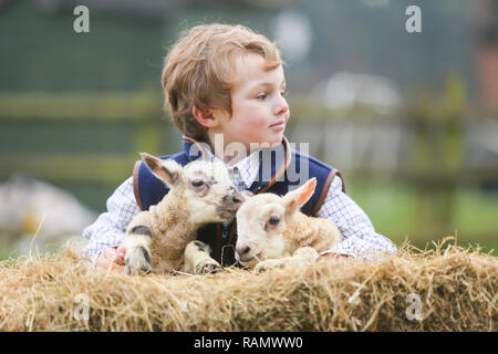 Arley, Worcestershire, Großbritannien. Am 4. Januar, 2019. 5-jährige Henley, auf die Farm seiner Familie in der Nähe von Arley, North Worcestershire, mit einem Tag - altes Lamm. Obwohl es noch Winter und der traditionellen lambing Saison beginnt im April in Großbritannien, Diese frühen Lämmer sind das Ergebnis der absichtlich verlassen die Tup, oder Ram, mit seiner Mutterschafe, die Herstellung neuer jährige Lämmer. Credit: Peter Lopeman/Alamy leben Nachrichten Stockfoto