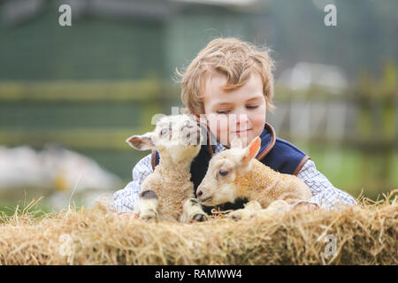 Arley, Worcestershire, Großbritannien. Am 4. Januar, 2019. 5-jährige Henley, auf die Farm seiner Familie in der Nähe von Arley, North Worcestershire, mit einem Tag - altes Lamm. Obwohl es noch Winter und der traditionellen lambing Saison beginnt im April in Großbritannien, Diese frühen Lämmer sind das Ergebnis der absichtlich verlassen die Tup, oder Ram, mit seiner Mutterschafe, die Herstellung neuer jährige Lämmer. Credit: Peter Lopeman/Alamy leben Nachrichten Stockfoto