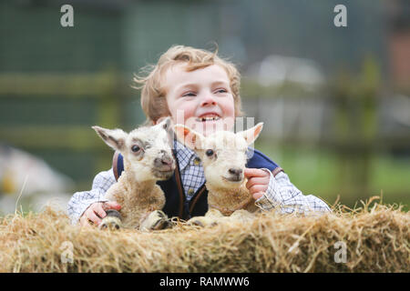 Arley, Worcestershire, Großbritannien. Am 4. Januar, 2019. 5-jährige Henley, auf die Farm seiner Familie in der Nähe von Arley, North Worcestershire, mit einem Tag - altes Lamm. Obwohl es noch Winter und der traditionellen lambing Saison beginnt im April in Großbritannien, Diese frühen Lämmer sind das Ergebnis der absichtlich verlassen die Tup, oder Ram, mit seiner Mutterschafe, die Herstellung neuer jährige Lämmer. Credit: Peter Lopeman/Alamy leben Nachrichten Stockfoto