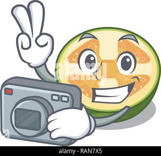 Fotograf feijoa Fruchtschnitten auf Cartoon Platte Stock Vektor