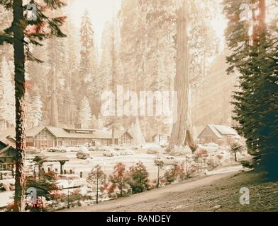 Sequoia National Park, Sept. 1957 Das Dorf mit Sentinel Baum (Giant Forest Village) 1957, Kalifornien, USA Neuerfundene Stockfoto