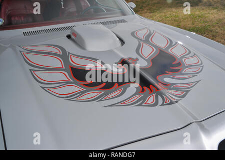 1976 Pontiac Trans Am amerikanischen V8 Muscle Car Stockfoto