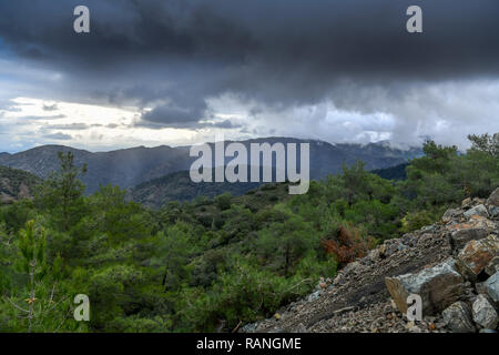 Paphos Wald, Troodos-gebirge, Zypern, Paphos-Forst, Troodos-Gebirge, Zypern Stockfoto