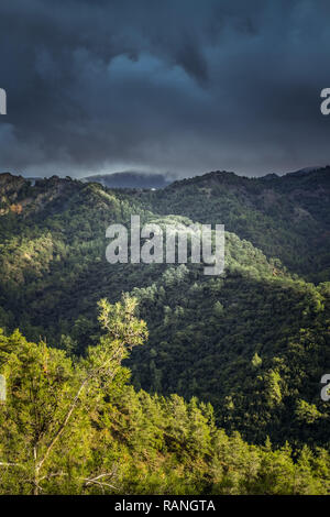 Paphos Wald, Troodos-gebirge, Zypern, Paphos-Forst, Troodos-Gebirge, Zypern Stockfoto