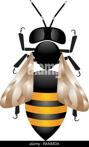 Wachs Zellen mit süßen Honig, Vektor-Wabe isoliert auf weißem bavkground, Bienen und Honig Vektor, die Bienen auf Wabe, Bumble Bee Honig Clip Stock Vektor