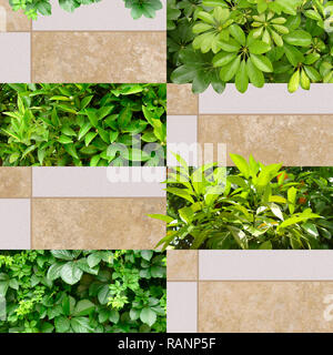 Geometrische nahtlose Muster für Tapeten oder Textilien. Ziegel, tropische Bäume und Blätter von Mandarinen. Beige Farbe und Sand Textur. Design Stockfoto