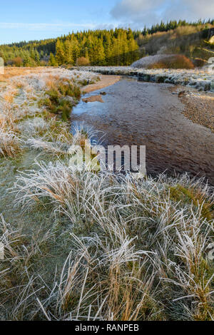 Frostigen morgen, cairnsmore der Flotte National Nature Reserve, Galloway Forest, Dumfries and Galloway, Schottland Stockfoto