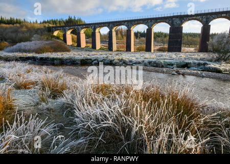 Großes Wasser der Flotte Viadukt, in der Nähe der Pförtnerloge der Flotte, Dumfries and Galloway, Schottland Stockfoto