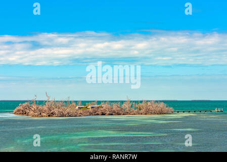 Wenig Geld, Schlüssel, eine kleine Wüste Insel umgeben von wunderschönen kristallklaren, türkisblauen Meer Wasser umgeben. Florida Keys. Stockfoto