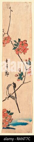 Kaido Ni Shokin, kleinen Vogel auf einem Zweig von Kaidozakura. [Zwischen 1804 und 1844], 1 Drucken: Holzschnitt, Farbe, 33.1 x 7.2 überarbeitet Stockfoto