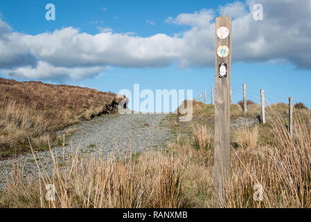 Glyndwr's Way Fußweg in der Nähe von Lake Glaslyn, Dylife, Powys, Wales Stockfoto