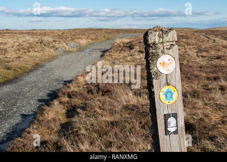 Glyndwr's Way Fußweg in der Nähe von Lake Glaslyn, Dylife, Powys, Wales Stockfoto