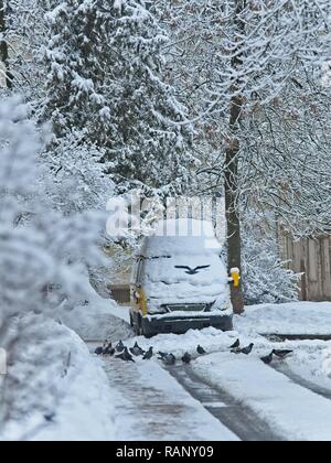 Schnee auf der Straße und Straße Services nicht die Straßen nicht sauber. Auch die Schneeräumung wird durch Autos auf den Straßen verlassenen verhindert. Stockfoto