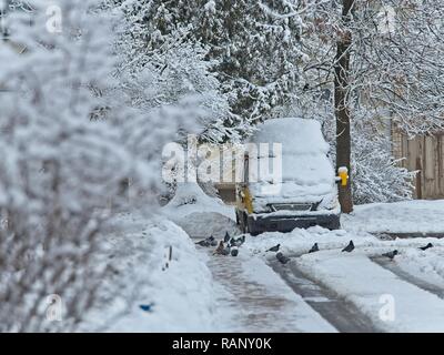 Schnee auf der Straße und Straße Services nicht die Straßen nicht sauber. Auch die Schneeräumung wird durch Autos auf den Straßen verlassenen verhindert. Stockfoto