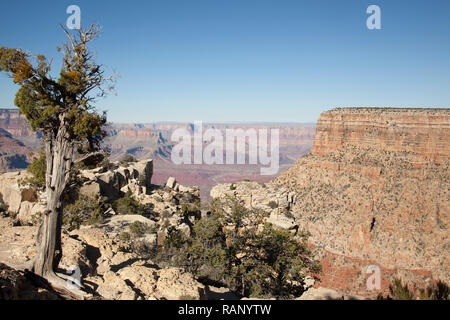 Blick auf die Farben der Grand Canyon von Grandview Point Lookout Stockfoto