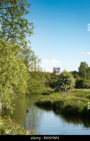 Cornmill Meadow in Waltham Abbey, Teil des Lee Valley Park an der Grenze zu Essex/Hertfordshire in Südengland, Großbritannien Stockfoto
