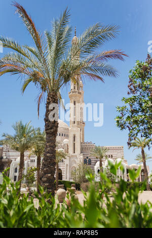 Vertikale Farbe Fotografie von Al Mustafa Moschee in Sharm El Sheikh, Ägypten. Stockfoto