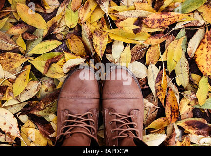 Das treten auf Laub im Herbst Stockfoto